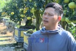 Đồng hành cùng nông dân đổi mới tư duy sản xuất