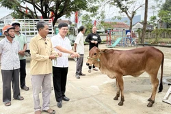 Niềm vui ở vùng tâm lũ ngày giáp Tết