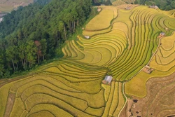 Hợp nhất Lào Cai và Yên Bái: Triển vọng tích cực phát triển du lịch xanh