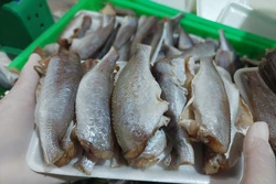 OCOP tạo 'cú hích' chuyển đổi từ sản xuất nhỏ lẻ sang chuỗi giá trị