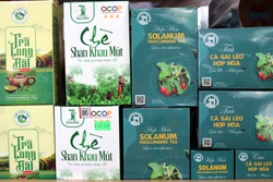 OCOP Tuyên Quang: Từ sản vật bản địa đến thương hiệu vùng miền