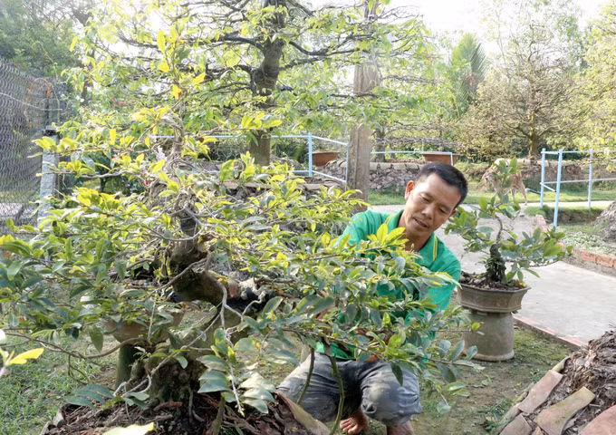 vinhlong2.jpg