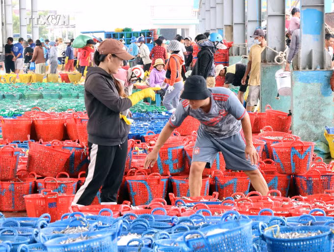 vna_potal_ngu_dan_ninh_thuan_trung_dam_vu_ca_nam__7515808.jpg