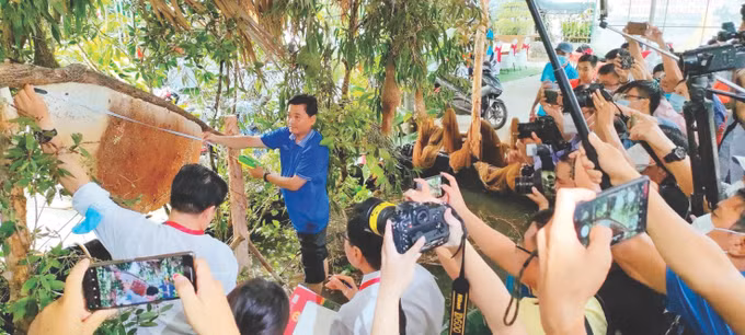 loanphuong1.jpg