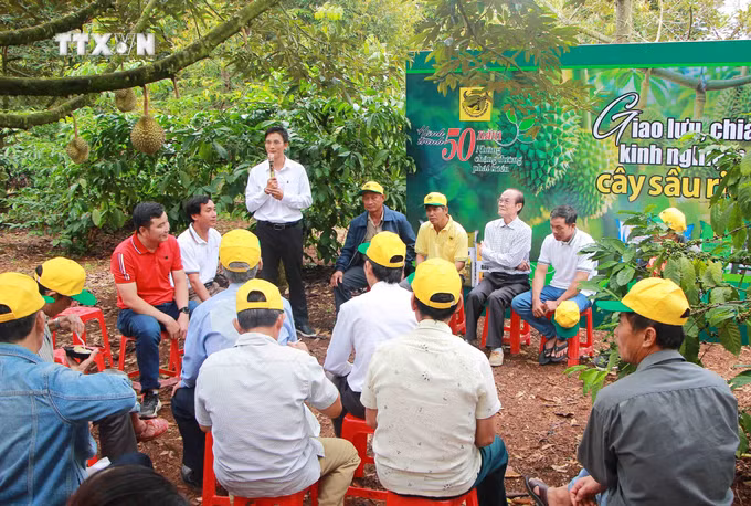 vna_potal_dak_lak_trai_nghiem_va_thuong_thuc_sau_rieng_tai_vuon_thu_hut_du_khach_7570460.jpg