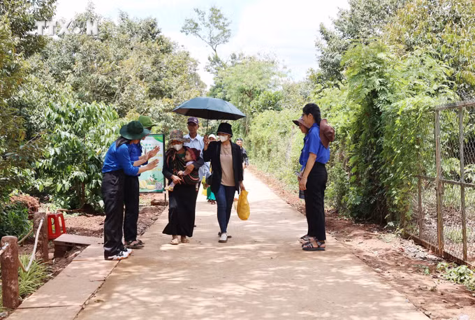 vna_potal_dak_lak_trai_nghiem_va_thuong_thuc_sau_rieng_tai_vuon_thu_hut_du_khach_7570454.jpg