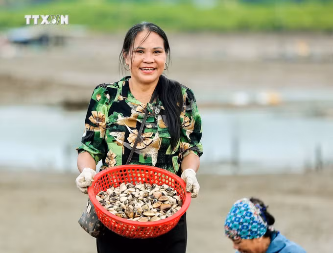 vna_potal_thanh_hoa_lam_giau_nho_mo_hinh_nuoi_ngao_giong_va_ngao_thuong_pham_7702152.jpg