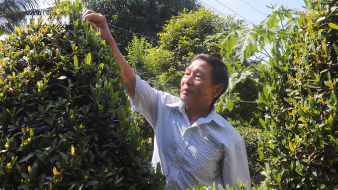 vna_potal_phat_huy_hieu_qua_tu_phong_trao_dan_van_kheo_7737799.jpg