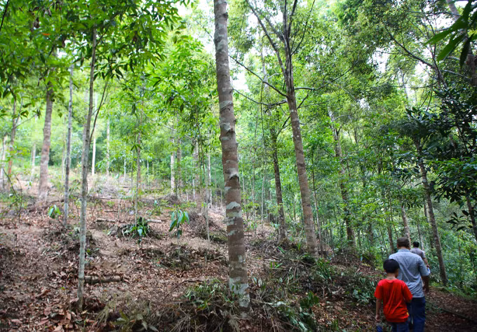 Ảnh di sản 11.JPG