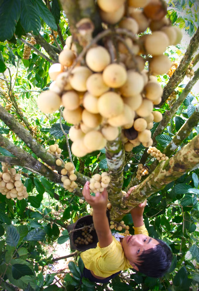 Ảnh di sản 6.JPG