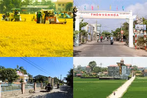 Nông thôn mới