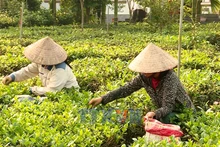 Thay đổi diện mạo nông thôn vùng đồng bào dân tộc thiểu số