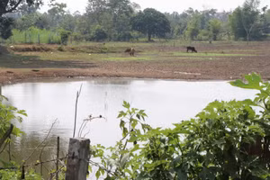 Hồi chuông cảnh báo từ những vụ đuối nước trẻ em