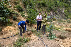 Đồng bào Cơ Tu phát triển kinh tế dưới tán rừng