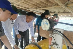 Ứng dụng công nghệ mới trong nuôi tôm giúp giảm giá thành sản xuất
