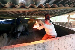 Cảnh báo rét đậm, rét hại tại Sơn La, có khả năng xảy ra băng giá