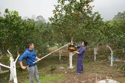 'Thủ đô kháng chiến' đang vươn mình