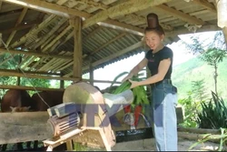 Bản khó khăn ở Sơn La đổi thay mạnh mẽ nhờ Chương trình 1719 