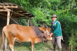 Các xã biên giới giúp đồng bào xóa đói, giảm nghèo bền vững