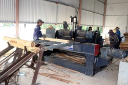 Bị đình chỉ, cơ sở sản xuất, chế biến lâm sản vẫn hoạt động