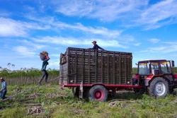 Cử tri cả nước gửi kỳ vọng đến ngày hội lớn
