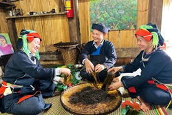 Đưa hương chè Shan Tuyết bay xa