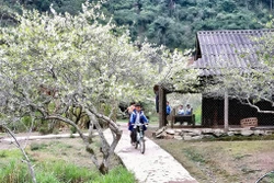 Du lịch trải nghiệm hút khách