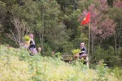 Đưa Mù Cang Chải trở thành điểm đến du lịch tiêu biểu Tây Bắc