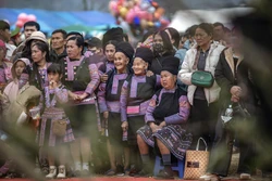 Mùa Xuân bừng sắc trên các bản Mông Phú Thọ