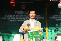 Thanh niên nông thôn bền bỉ làm giàu từ quê hương