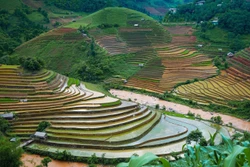 Lung linh ruộng bậc thang mùa nước đổ ở Mù Cang Chải