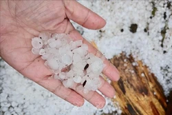 Nghệ An: Dông lốc kèm mưa đá tại xã miền núi Quỳ Châu