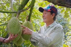 Câu lạc bộ nông dân tỷ phú - hạt nhân tri thức hóa nông nghiệp Hậu Giang