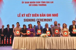 Kết nối giao thương xuất khẩu nông sản sang Nhật Bản và ASEAN
