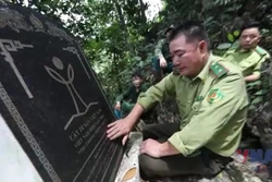 'Kho vàng nghiến' và những người giữ rừng bằng trái tim 