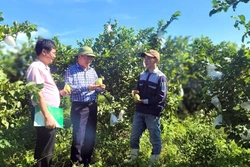 Mở lối thoát nghèo cho đồng bào miền núi Quảng Trị