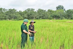 Từ ruộng lúa biên cương đến thế trận lòng dân vững chắc