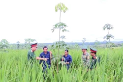 Củng cố thế trận lòng dân vững chắc trên tuyến biên cương Tổ quốc