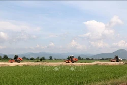 'Trái ngọt' từ chính sách giảm nghèo bền vững