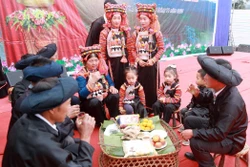 Nhiều hoạt động đặc sắc tại Ngày hội văn hóa - Tết cổ truyền dân tộc Hà Nhì 