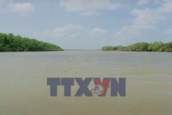 Đánh thức tiềm năng 'viên ngọc xanh' nơi hạ lưu Sông Hậu