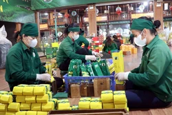 Cận Tết, chè Thái Nguyên bán chạy, sức mua tăng 30%