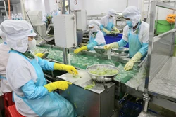 Đẩy mạnh chế biến sâu, nâng cao giá trị nông sản đặc thù
