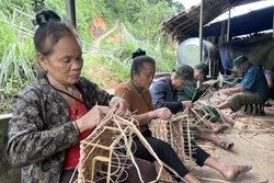 Sinh kế bền vững, động lực xây dựng nông thôn mới ở miền núi Nghệ An