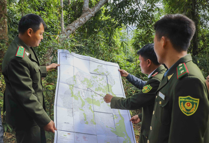 Lực lượng Kiểm lâm xem bản đồ phân bổ rừng trên địa bàn huyện Nậm Pồ (Điện Biên). Ảnh: Xuân Tư - TTXVN potal-tang-cuong-cong-tac-bao-ve-va-phong-chong-chay-rung-o-huyen-nam-po-dien-bien-7848152.jpg
