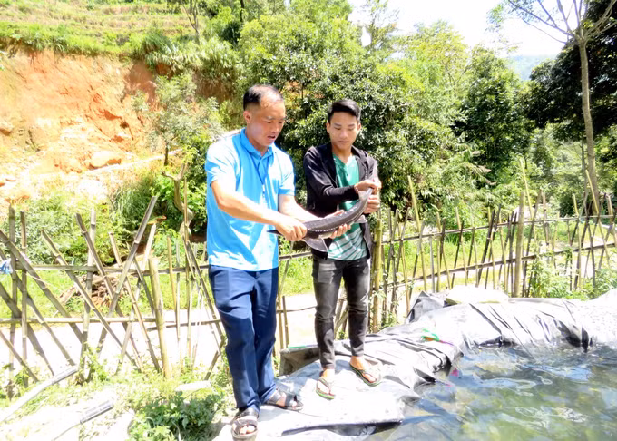 ky-vong-20240913102519.jpg