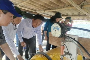 Ứng dụng công nghệ mới trong nuôi tôm giúp giảm giá thành sản xuất