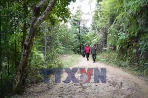 Giữ rừng bằng hương ước ở vùng cao Púng Luông 