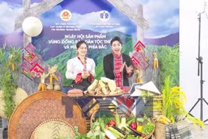 Lan tỏa hàng Việt trên 'chợ số'