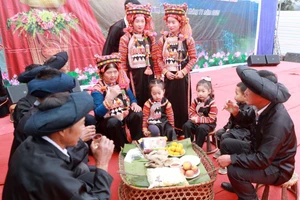 Nhiều hoạt động đặc sắc tại Ngày hội văn hóa - Tết cổ truyền dân tộc Hà Nhì 